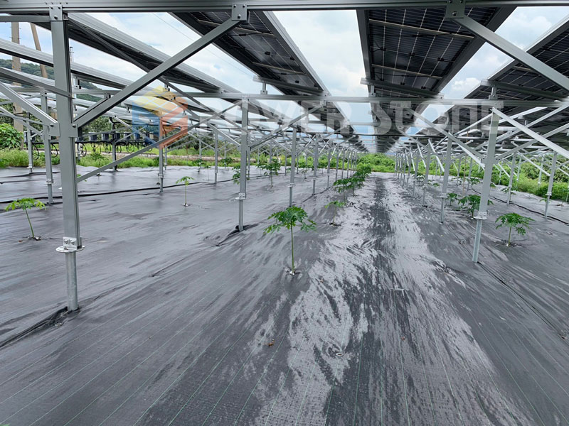 solar farm ground pv