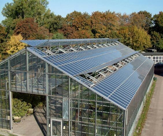solar farm greenhouse