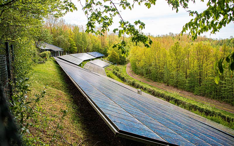 Global photovoltaic industry hits the brake: photovoltaic industry hits a cold spell in 2026